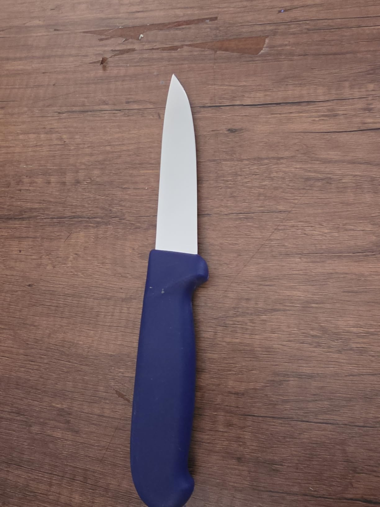 LAMA Multiuso 12,8 cm coltello cucina carne acciaio