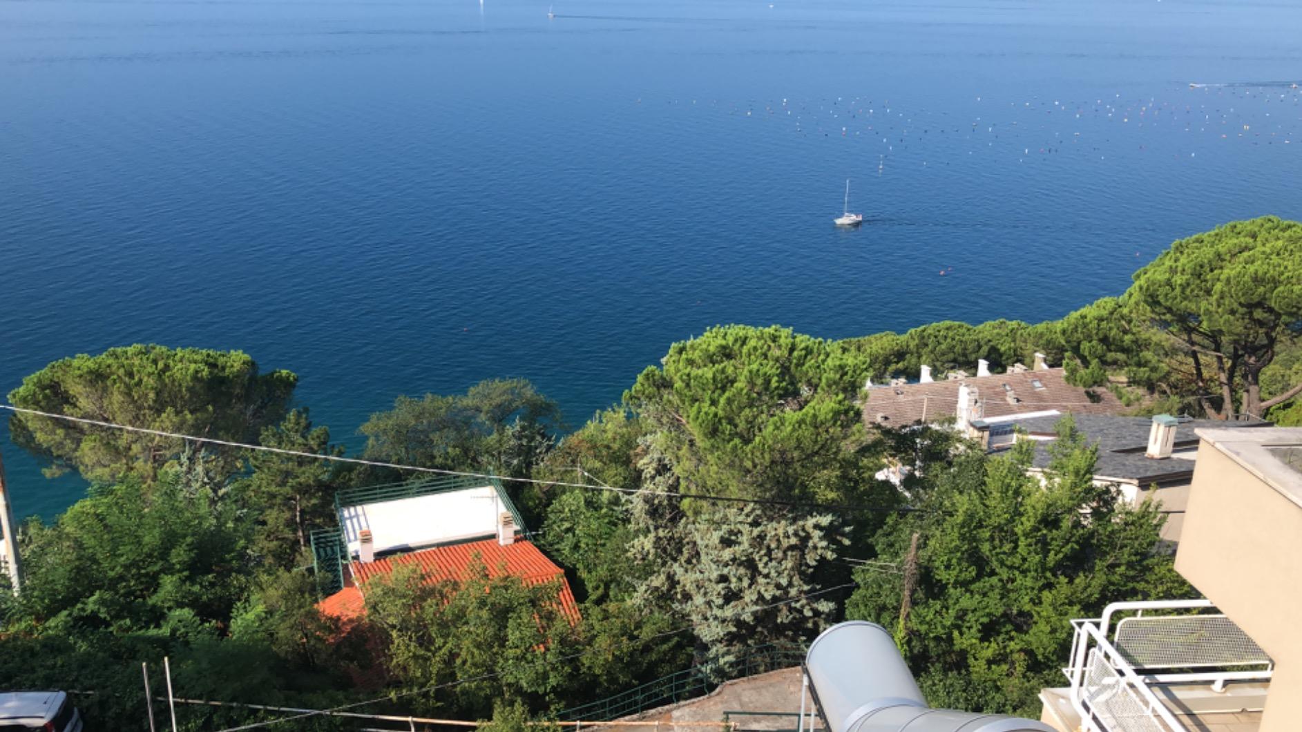 Brunner Bula sedia spiaggina blu azzurro portata 102 kg