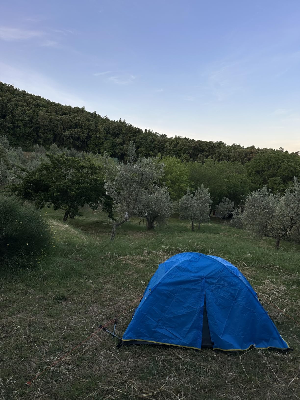 LAMA Tenda Campeggio 2 Persone Impermeabile 3000 mm