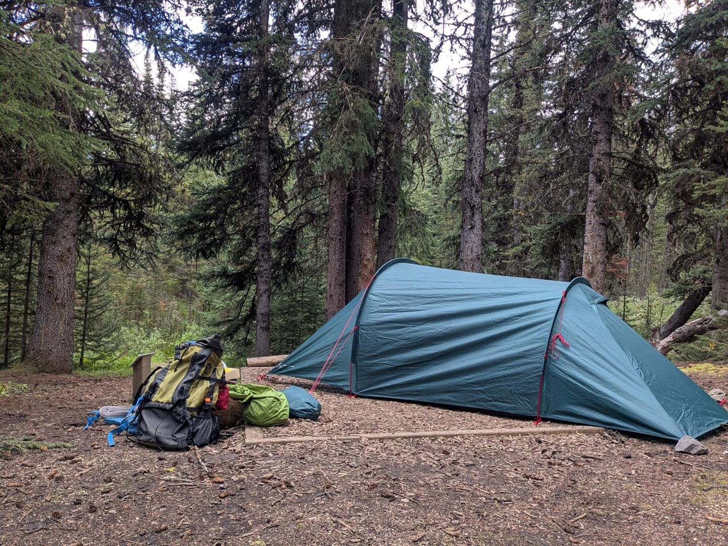 Highlander Respite 2 Extended tenda tunnel 2 persone verde