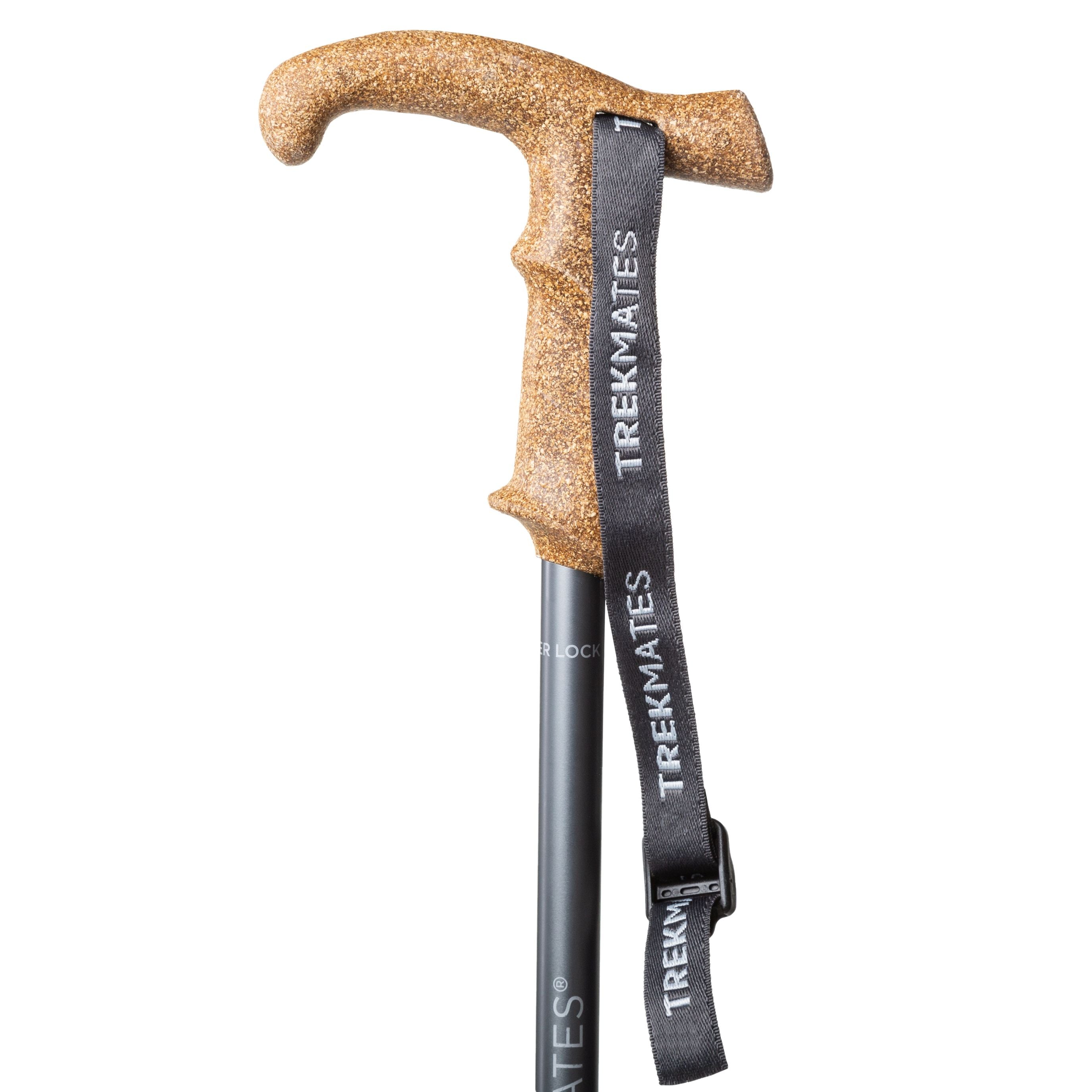 Trekmates Wanderer Lock bastoncini trekking grafite