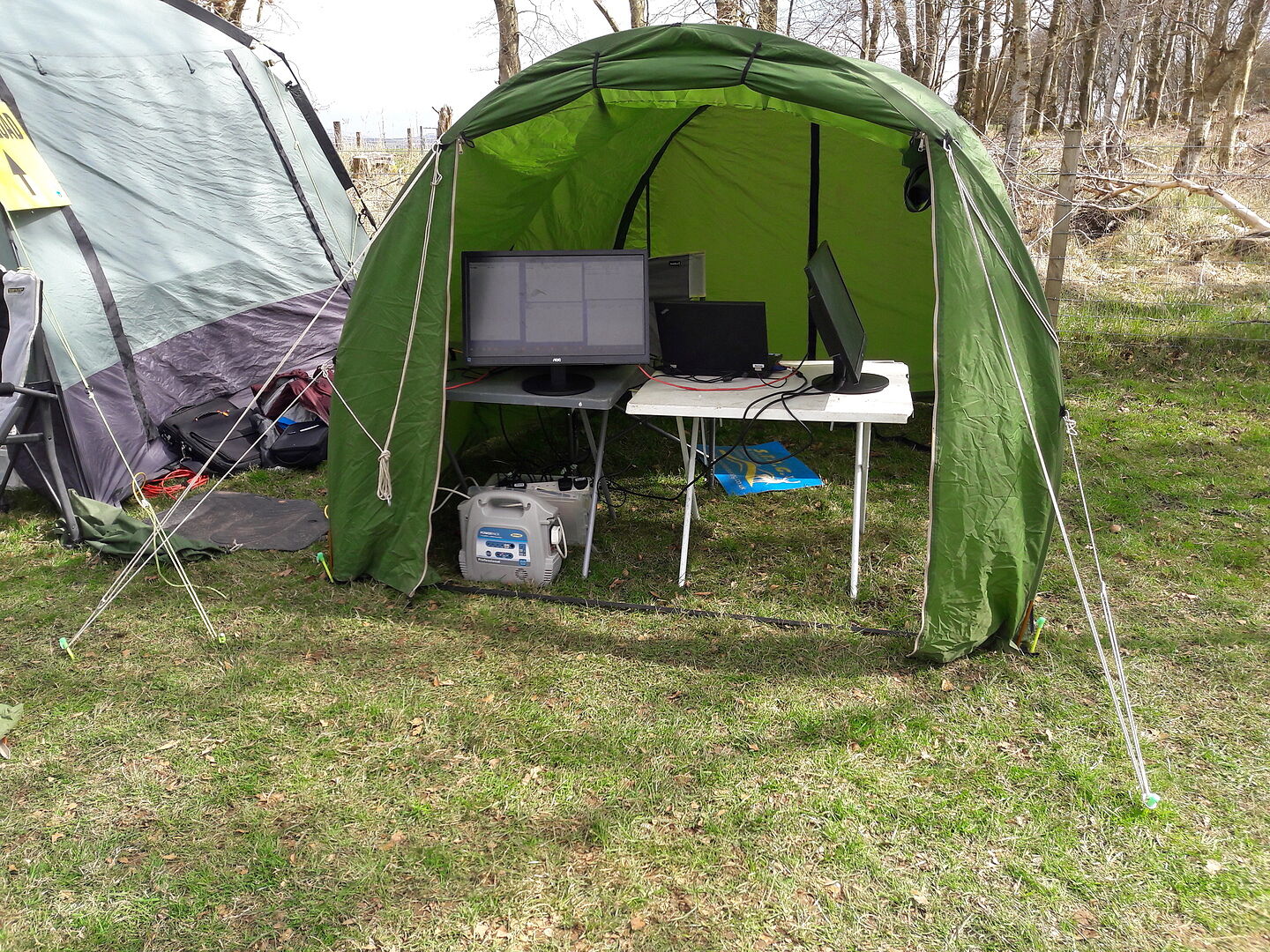 Highlander Fluorescent picchetti tenda 20cm 6 pezzi gialli